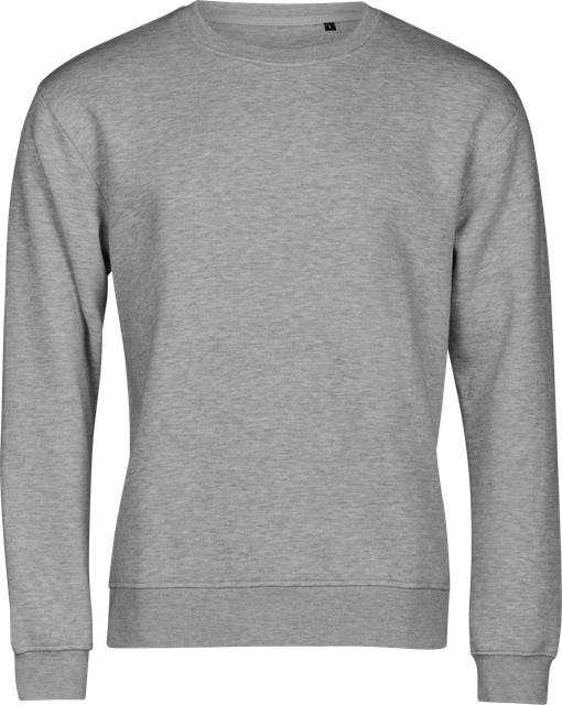 Grey Collegepaidat painatuksella